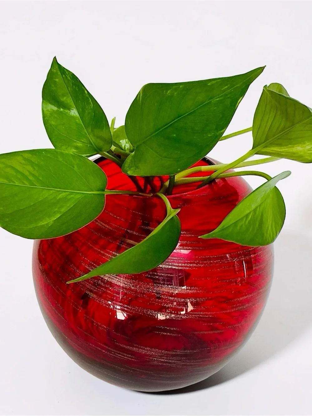 Red Glass Bubble Vase with Gold Swirl Hand Blown 6” Tall
